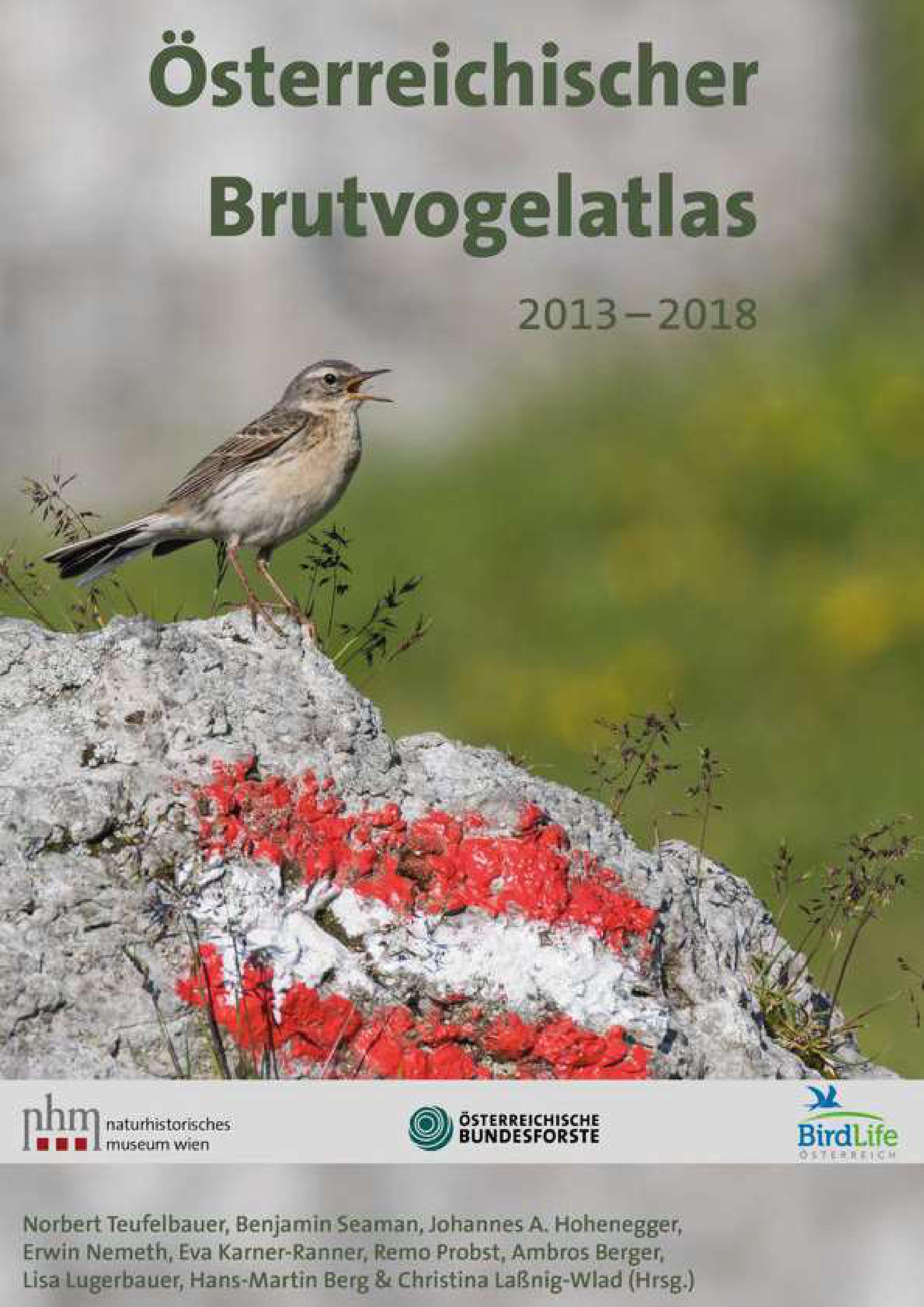 Österreichischer Brutvogelatlas 2013 - 2018