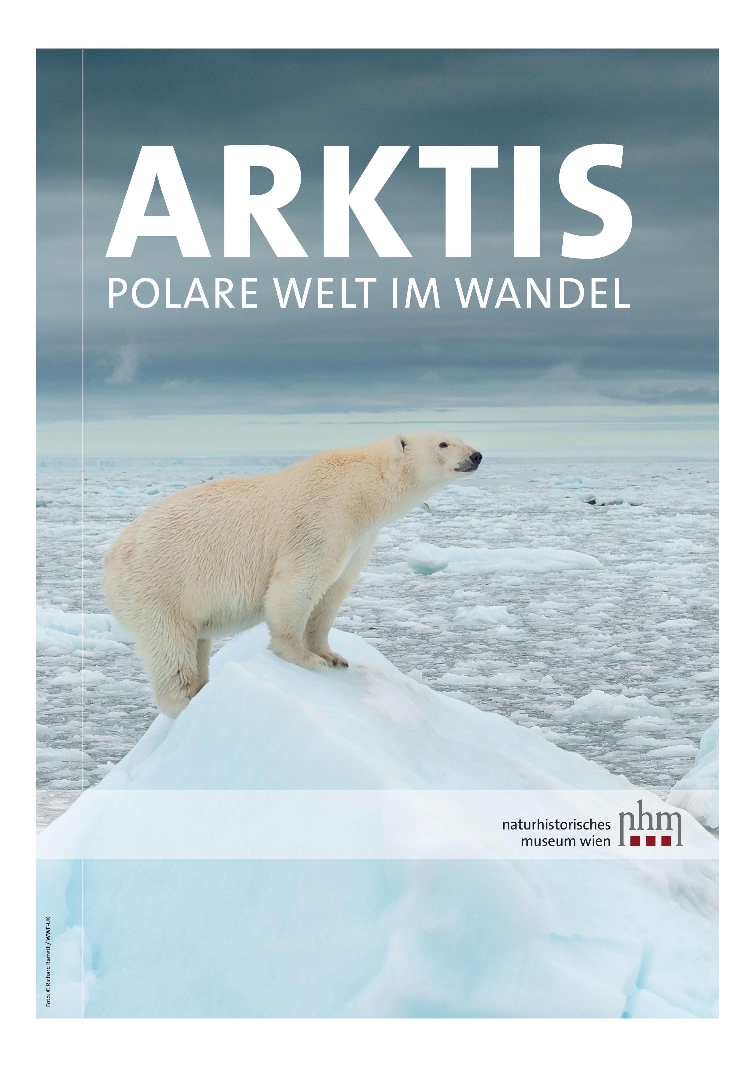 Arktis. Polare Welt im Wandel